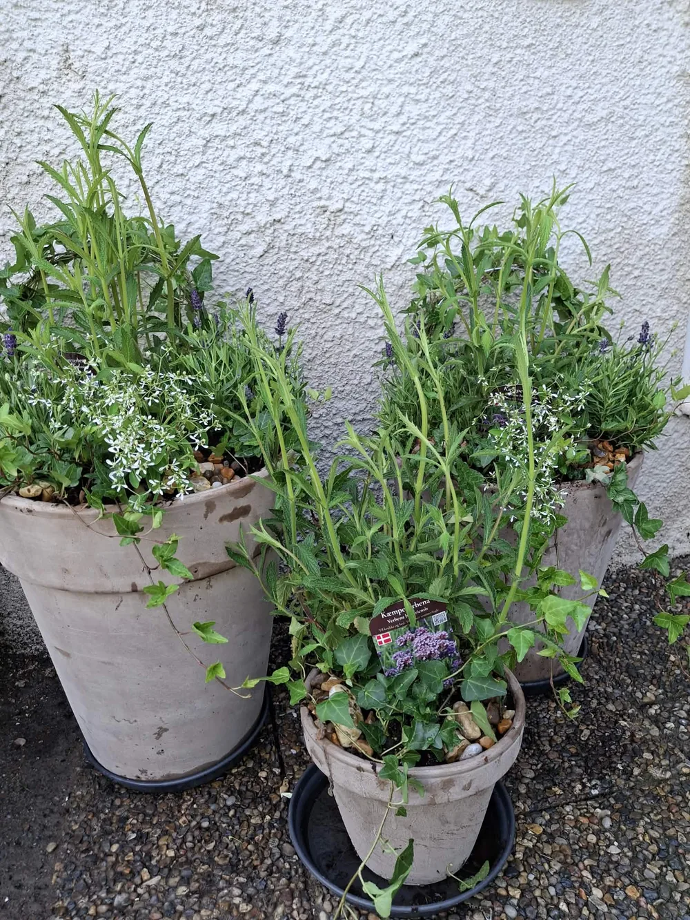 Bred blomsterkompetens
